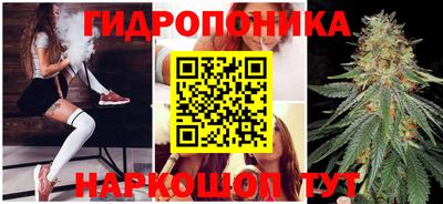 гашиш Славгород