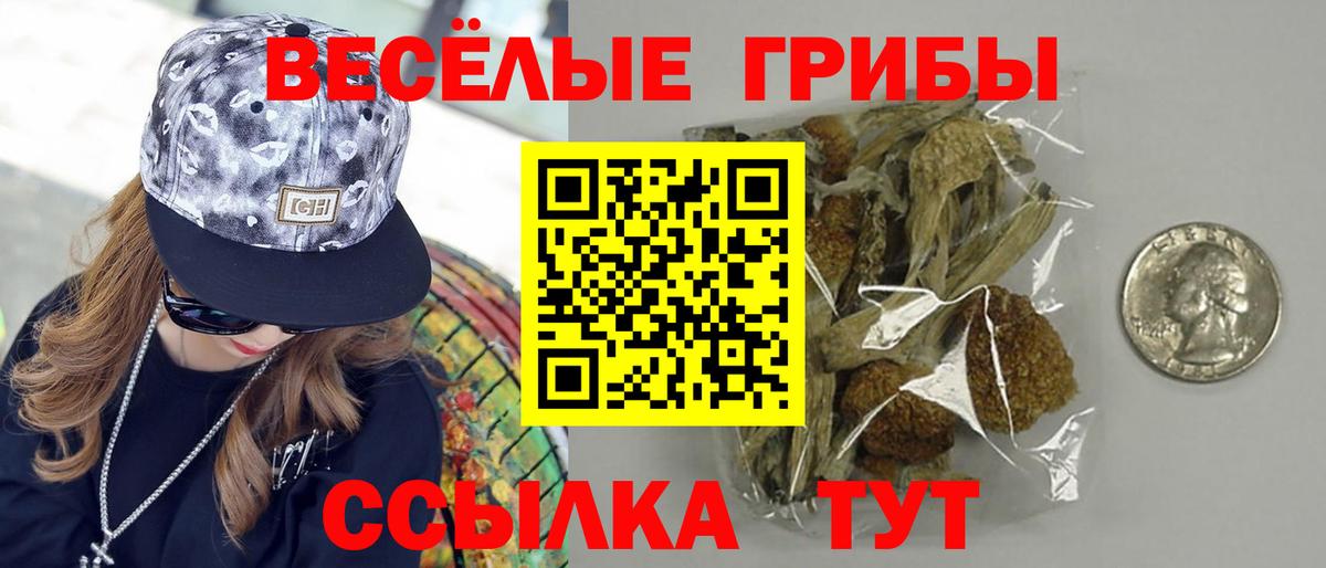 Галлюциногенные грибы MAGIC MUSHROOMS  Вход с VPN  Ачхой-Мартан 